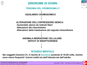 APPROFONDIMENTO: Sindrome di Down