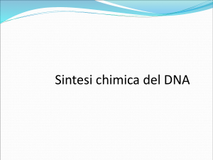 Sequenziamento del DNA e PCR File - e