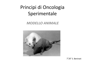 8._MODELLI_ANIMALI_ppt - Università degli Studi di Roma "Tor