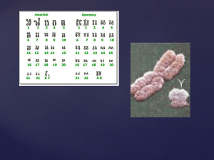 `conteggio` dei cromosomi X presenti nella cellula