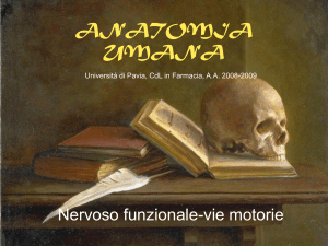 Lezione 25 - Università di Pavia