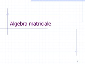 Algebra matriciale