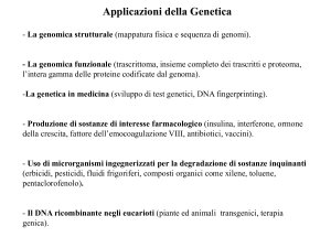 Genoma umano: 3.2 Gb