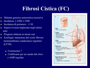 Nessun titolo diapositiva