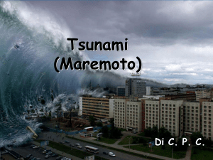Tsunami di C. P. C. a.s. 2012-2013 - CPIA