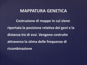 Mappatura genetica