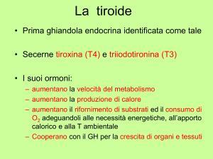 La tiroide - Axada Catania