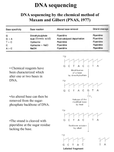 DNA sequencing