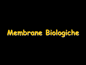04_Membrane_Biologiche - Università degli Studi di Roma "Tor