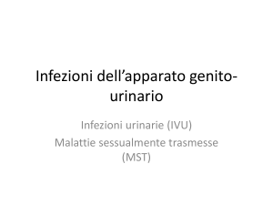 6infezioni dellapparato genito-urinario File - e