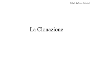 La Clonazione - Università degli Studi di Roma "Tor Vergata"