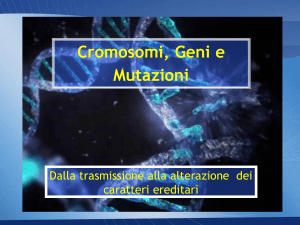 Cromosomi, Geni e Mutazioni