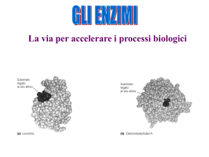 Presentazione di PowerPoint - Università degli Studi di Roma "Tor