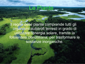 Le Piante - Liceo Daniele Crespi