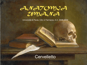 Lezione 21 - Università di Pavia