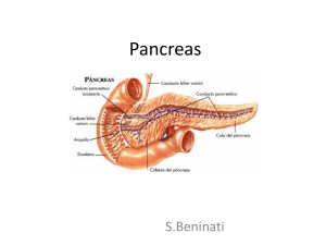 pancreas fegato