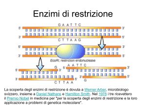 enzimi di restrizione