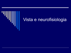 Vista e neurofisiologia