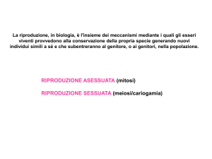 FORMAZIONE DI DUE CELLULE FIGLIE GENETICAMENTE