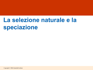 selezione naturale e speciazione