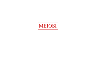 Meiosi - SburOver