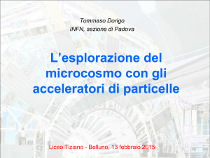 La Fisica delle Particelle Elementari: una introduzione