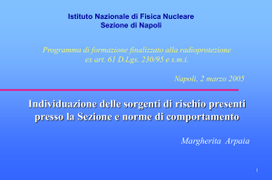 Istituto Nazionale di Fisica Nucleare Sezione di Napoli Programma