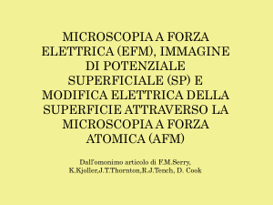 MICROSCOPIA A FORZA ELETTRICA (EFM), IMMAGINE DI