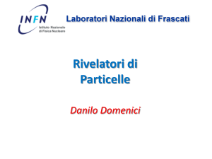 D. Domenici - INFN-LNF