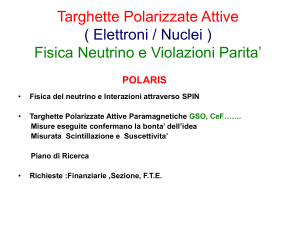 Targhette Polarizzate Attive ( Elettroni / Nuclei ) Fisica Neutrino e
