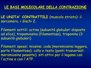 Nessun titolo diapositiva