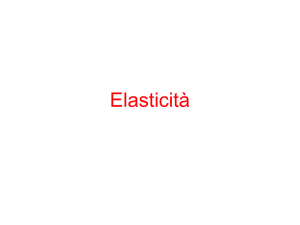 E4_elasticità