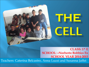 THE CELL - Share Dschola