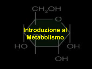 9.introduzione metabolismo