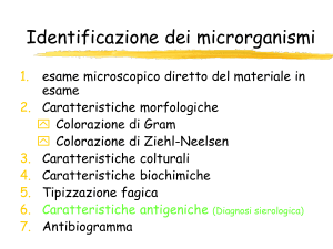 4 Diagnostica batterica II