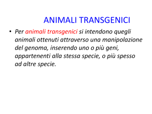 animali transgenici