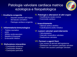 Diapositiva 1 - Axada Catania