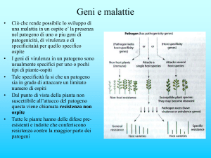 Presentazione di PowerPoint - e