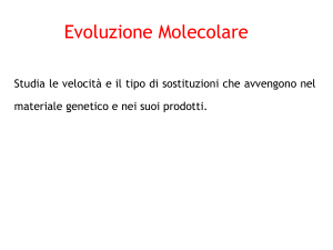 8_Evoluzione