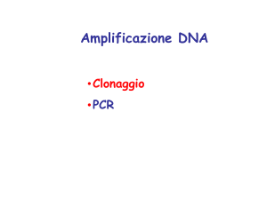 Clonaggio-elettrof_.07