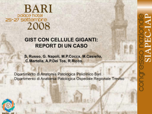 089 - S.Russo, G.Napoli, et al.