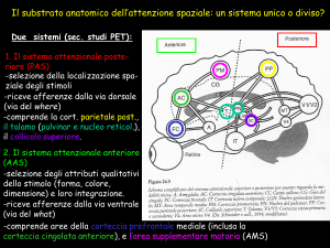 guarda