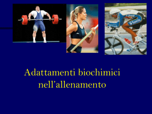 18.biochimica dell`allenamento