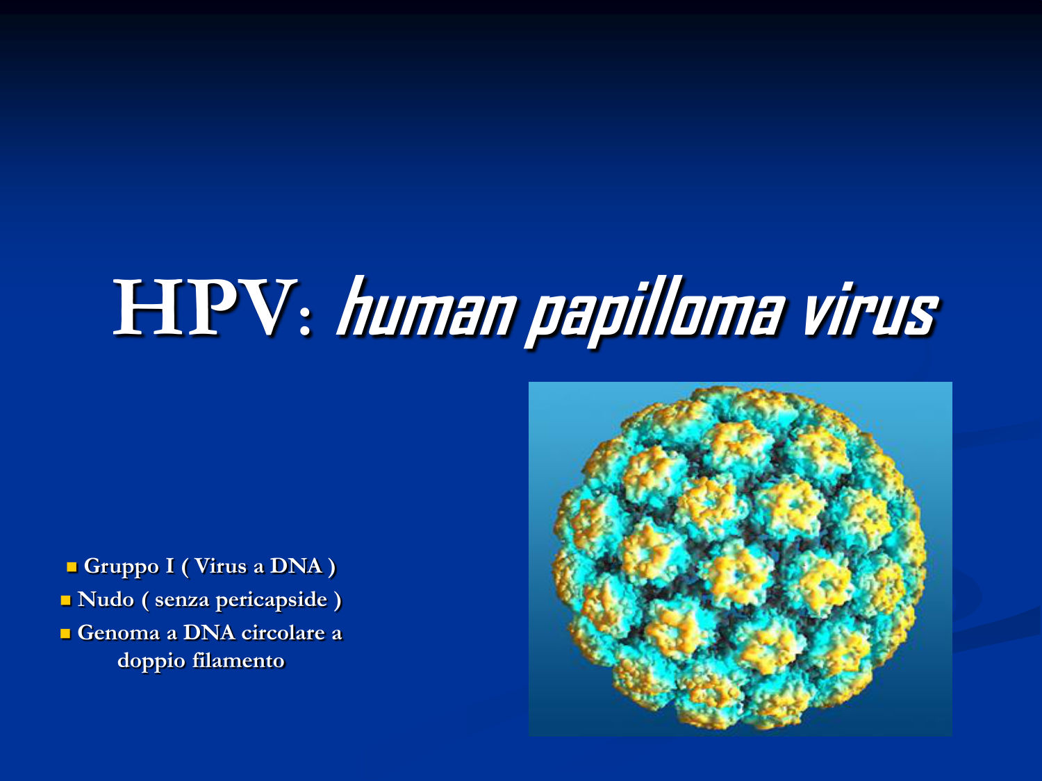 hpv virus dna virus
