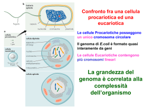 Diapositiva 1 - Docenti.unina