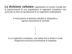 Il ciclo cellulare - Corso di Laurea in Infermieristica