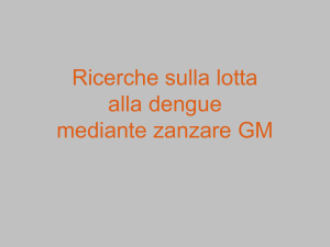 Ricerca per combattere la dengue con zanzare