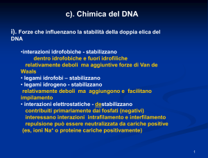 Chimica DNA - Axada Catania