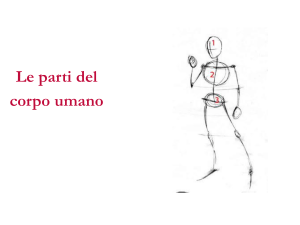 Le parti del corpo umano mau