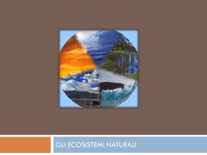gli ecosistemi naturali - Istituto San Giuseppe Lugo